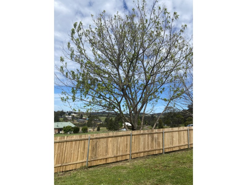 7 Bega Street, Cobargo NSW 2550