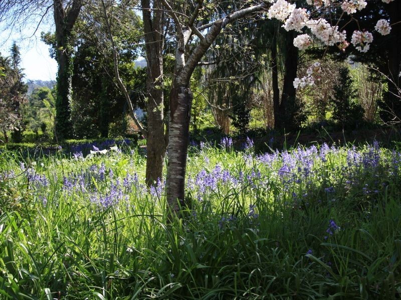 282 Corkhill Drive, Tilba Tilba NSW 2546