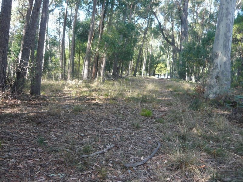 Lot 84 Rainforest Parkway, Narooma NSW 2546