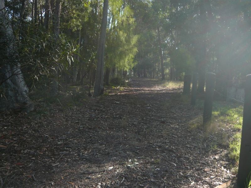 Lot 84 Rainforest Parkway, Narooma NSW 2546