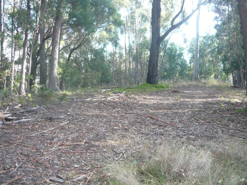 Lot 84 Rainforest Parkway, Narooma NSW 2546