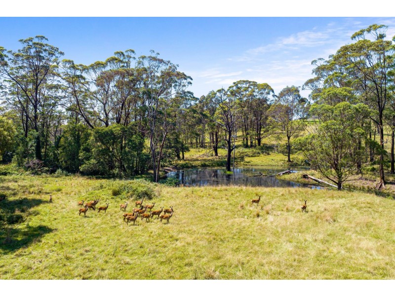 Lot 26/82 Wagonga Scenic Drive, Narooma NSW 2546