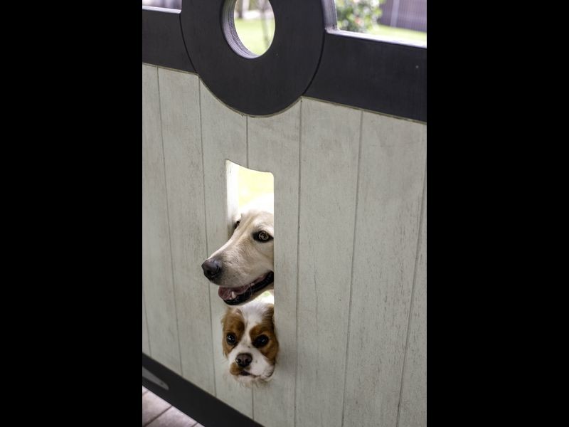 71 Murrah Street, Bermagui NSW 2546