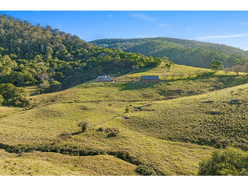 49-51 Mount Dromedary Trail, Tilba Tilba NSW 2546
