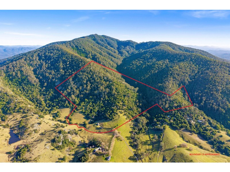 49-51 Mount Dromedary Trail, Tilba Tilba NSW 2546