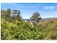 80 Meads Road, Tilba Tilba NSW 2546