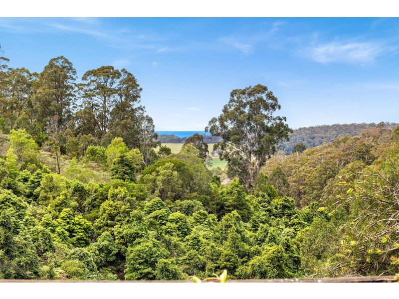 80 Meads Road, Tilba Tilba NSW 2546