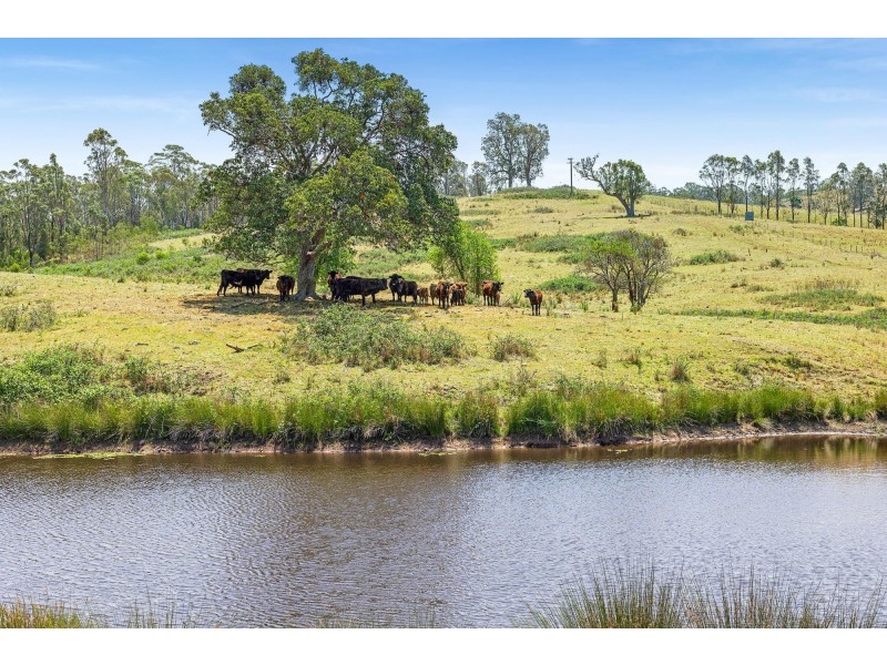 Lot 30 Princes Highway, Brogo NSW 2550