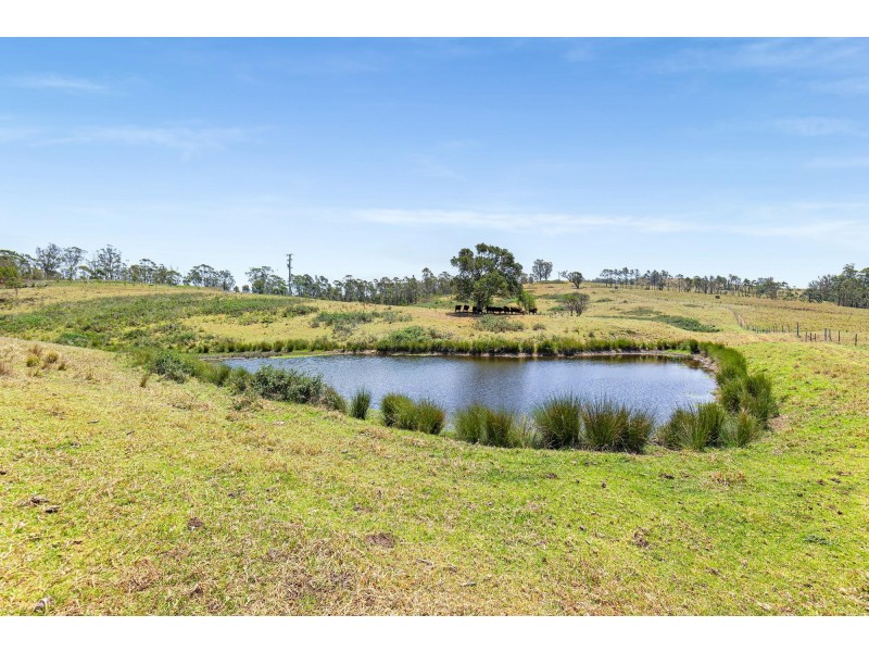 Lot 30 Princes Highway, Brogo NSW 2550