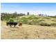 Lot 30 Princes Highway, Brogo NSW 2550