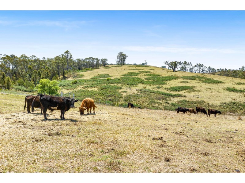 Lot 30 Princes Highway, Brogo NSW 2550