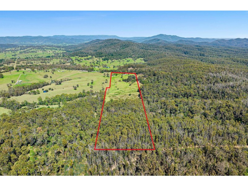 9857 Princes Highway, Cobargo NSW 2550