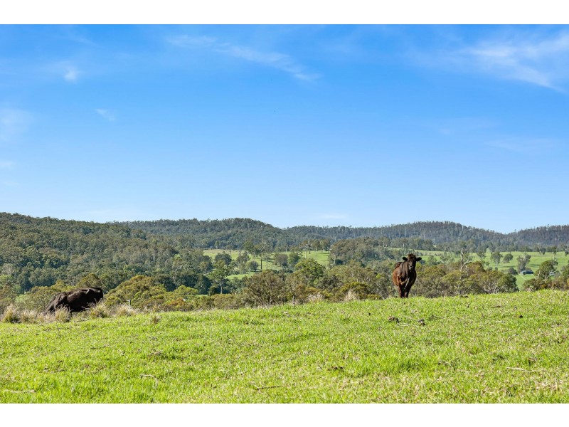 9857 Princes Highway, Cobargo NSW 2550