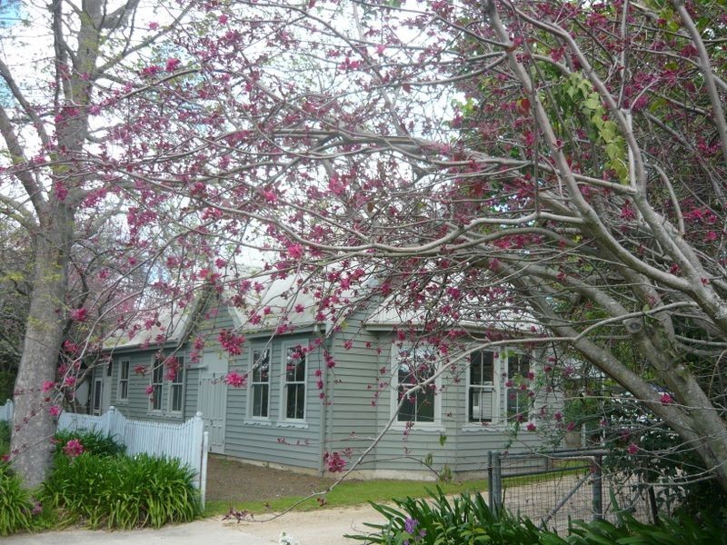 284 Corkhill Drive, Central Tilba NSW 2546