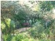 284 Corkhill Drive, Central Tilba NSW 2546