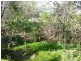 284 Corkhill Drive, Central Tilba NSW 2546