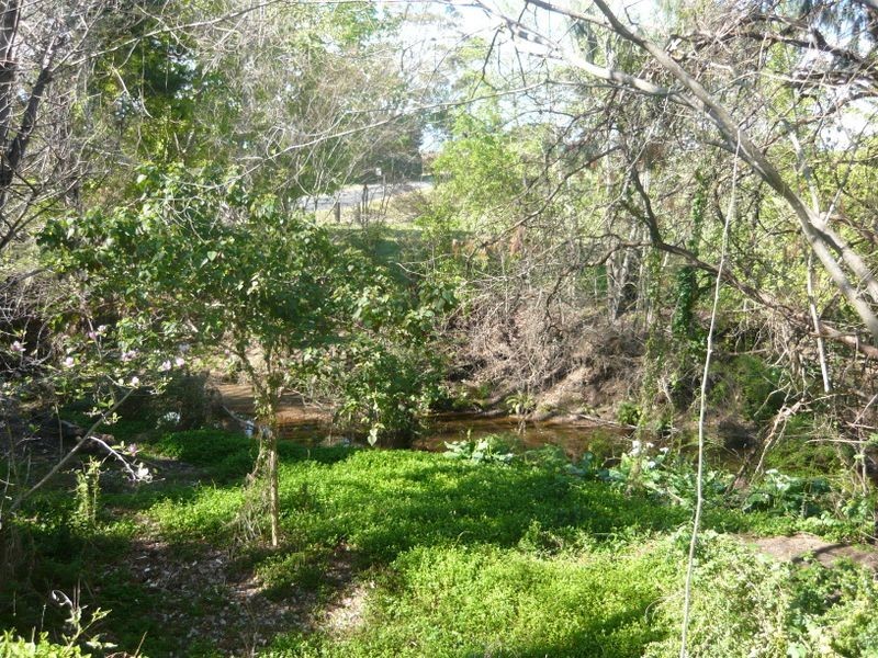 284 Corkhill Drive, Central Tilba NSW 2546