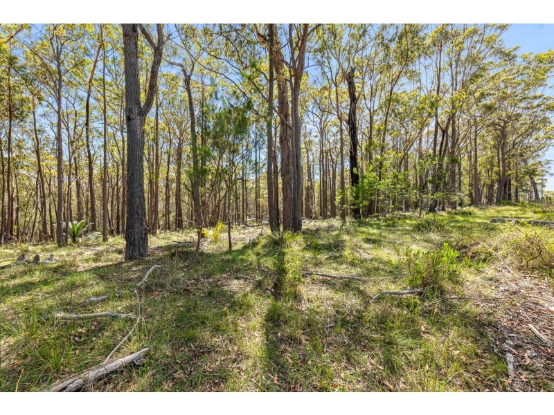 Lot 142 Bingie Road, Meringo NSW 2537