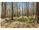 Lot 142 Bingie Road, Meringo NSW 2537