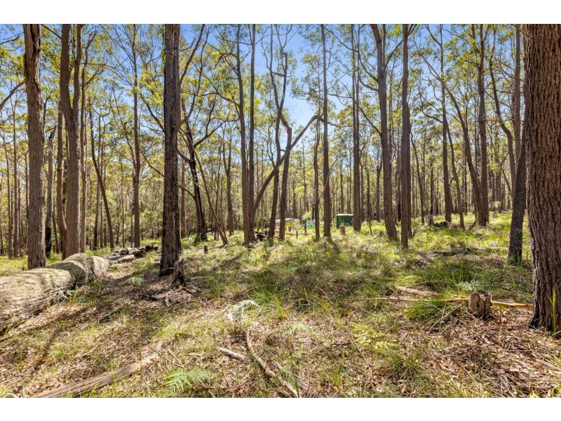 Lot 142 Bingie Road, Meringo NSW 2537
