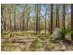 Lot 142 Bingie Road, Meringo NSW 2537