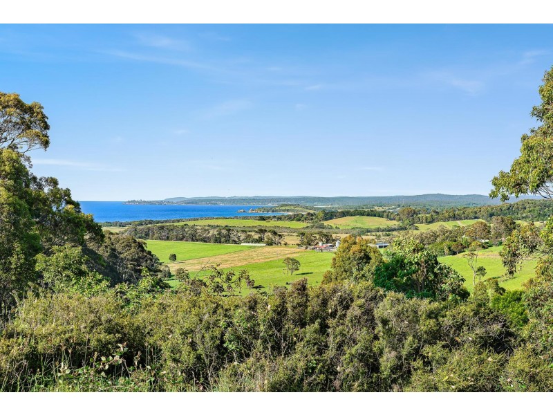 114 Haxstead Road, Central Tilba NSW 2546