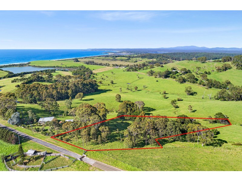 114 Haxstead Road, Central Tilba NSW 2546
