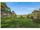 114 Haxstead Road, Central Tilba NSW 2546