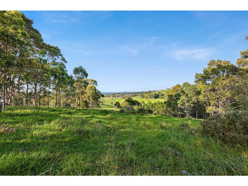 114 Haxstead Road, Central Tilba NSW 2546