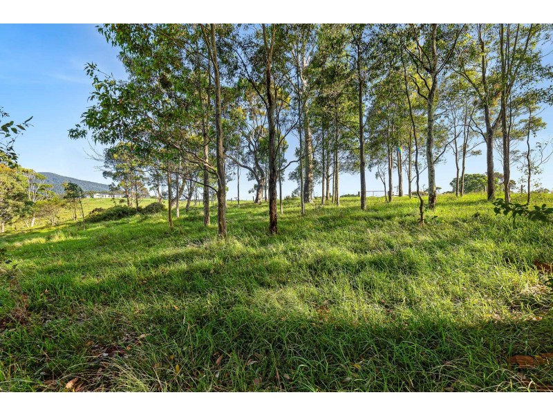 114 Haxstead Road, Central Tilba NSW 2546