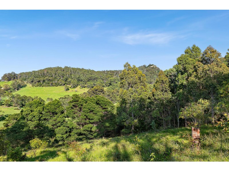 114 Haxstead Road, Central Tilba NSW 2546