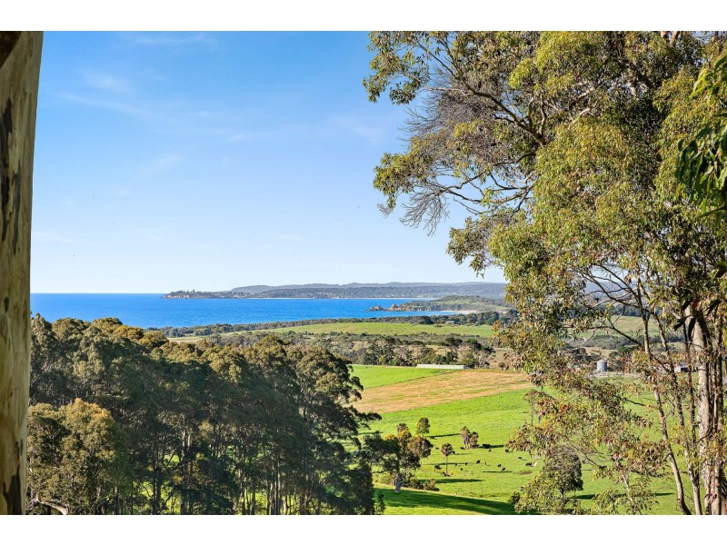 114 Haxstead Road, Central Tilba NSW 2546