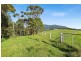 114 Haxstead Road, Central Tilba NSW 2546