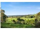 114 Haxstead Road, Central Tilba NSW 2546