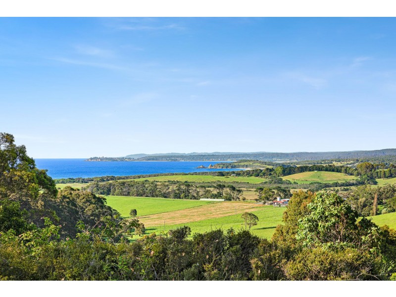 114 Haxstead Road, Central Tilba NSW 2546