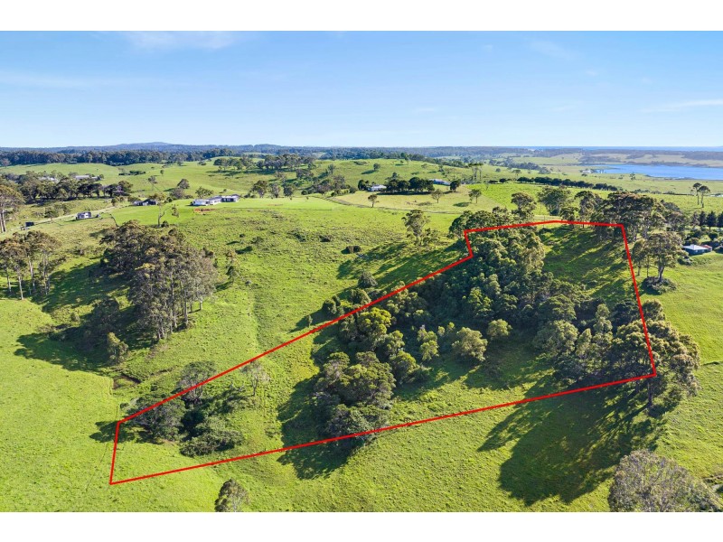 114 Haxstead Road, Central Tilba NSW 2546