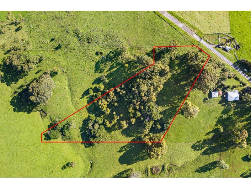 114 Haxstead Road, Central Tilba NSW 2546