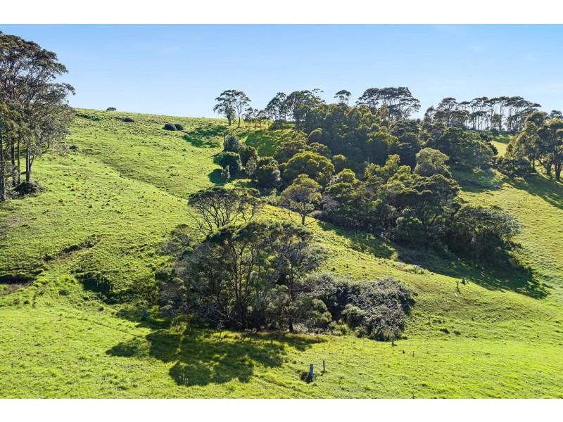 114 Haxstead Road, Central Tilba NSW 2546