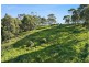 114 Haxstead Road, Central Tilba NSW 2546
