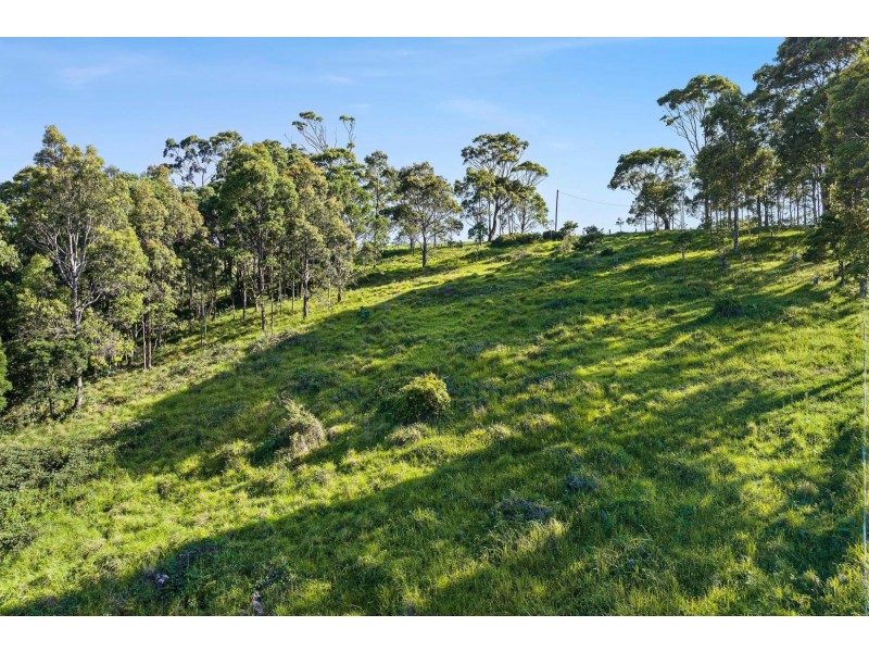 114 Haxstead Road, Central Tilba NSW 2546