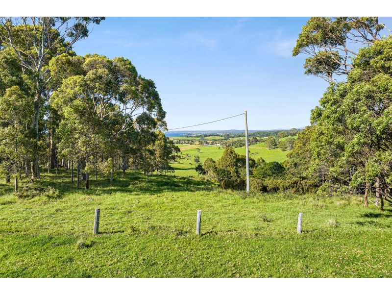 114 Haxstead Road, Central Tilba NSW 2546