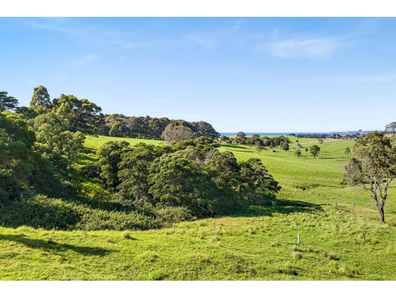 114 Haxstead Road, Central Tilba NSW 2546