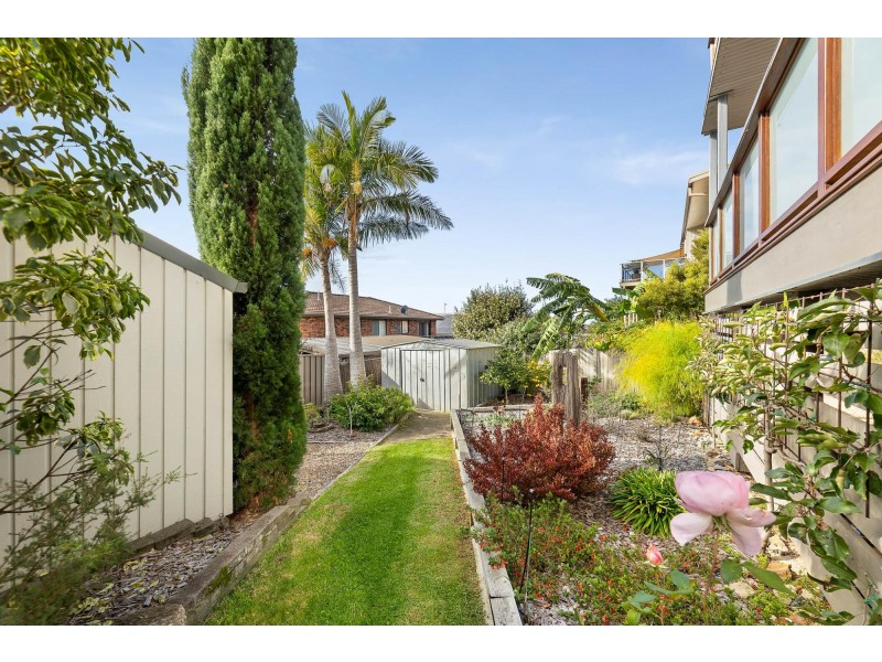 31 Parbery Avenue, Bermagui NSW 2546