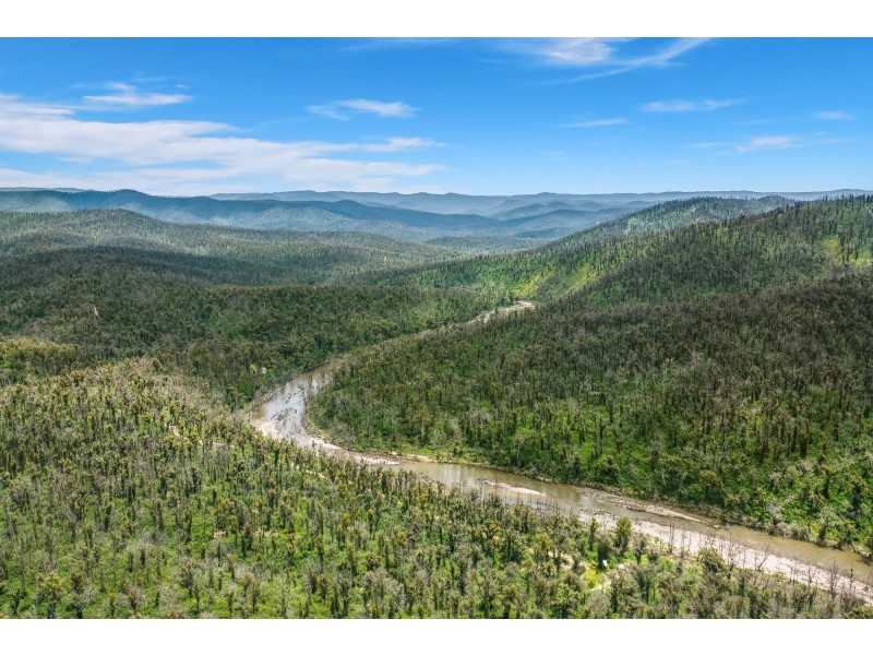 403 Preserve Road, Tinpot NSW 2546