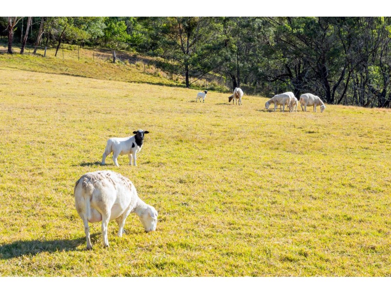 184 Barrabaroo Road, Cobargo NSW 2550