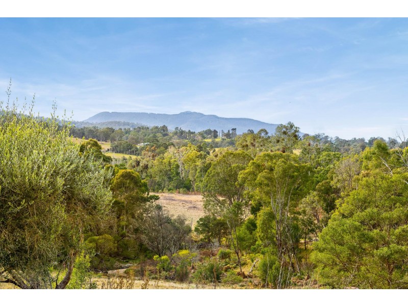 184 Barrabaroo Road, Cobargo NSW 2550