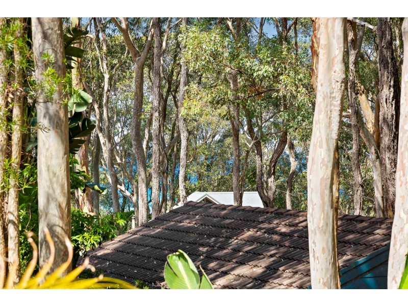 38 Maculata Circuit, Dalmeny NSW 2546