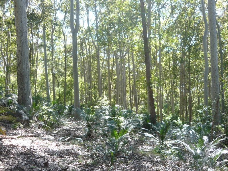 3488 Tathra Bermagui Road, Akolele NSW 2546