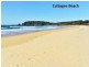 3488 Tathra Bermagui Road, Akolele NSW 2546