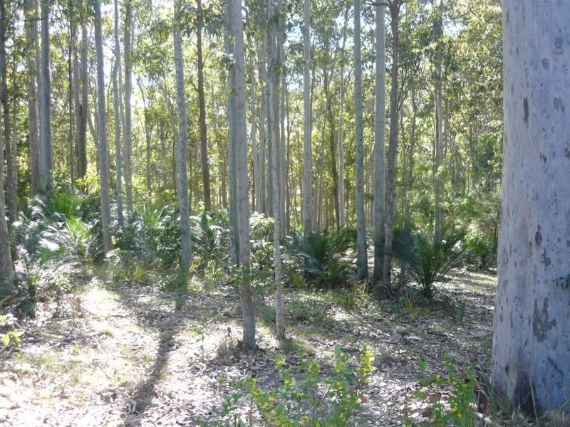 3488 Tathra Bermagui Road, Akolele NSW 2546